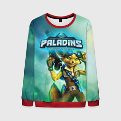 Мужской свитшот Paladins