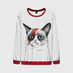 Свитшот мужской David Bowie: Grumpy cat, цвет: 3D-красный