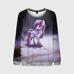 Свитшот мужской Violet Pony, цвет: 3D-меланж