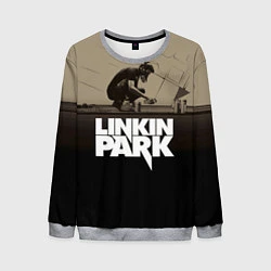 Свитшот мужской Linkin Park: Meteora, цвет: 3D-меланж