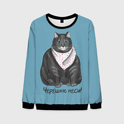 Мужской свитшот Черешню неси!