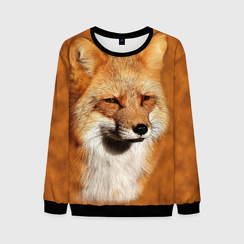 Мужской свитшот Хитрая лисичка / 3D-Черный – фото 1