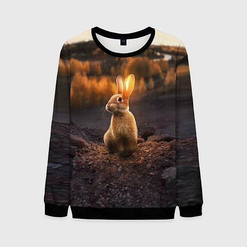 Мужской свитшот Солнечный зайчик / 3D-Черный – фото 1