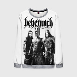 Свитшот мужской Behemoth Group, цвет: 3D-меланж