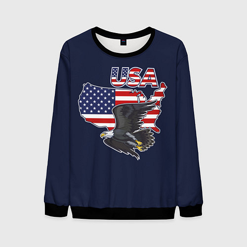 Мужской свитшот USA - flag and eagle / 3D-Черный – фото 1