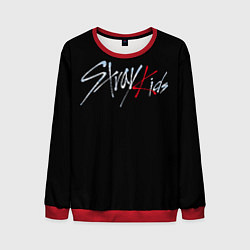 Мужской свитшот Stray Kids