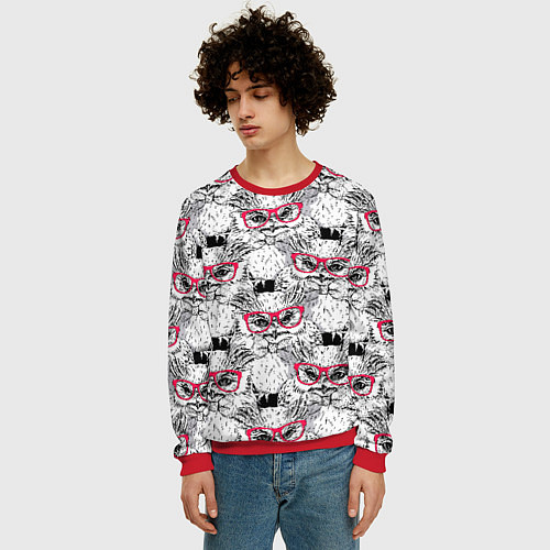 Мужской свитшот Совы в очках / 3D-Красный – фото 3