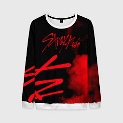 Мужской свитшот Stray Kids