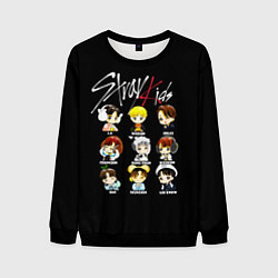 Свитшот мужской Stray Kids, цвет: 3D-черный