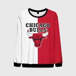 Свитшот мужской CHICAGO BULLS, цвет: 3D-черный