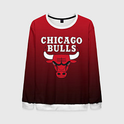 Свитшот мужской CHICAGO BULLS, цвет: 3D-белый