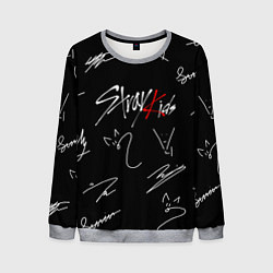 Свитшот мужской STRAY KIDS, цвет: 3D-меланж
