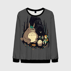 Свитшот мужской Totoro, цвет: 3D-черный