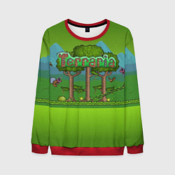 Свитшот мужской Terraria, цвет: 3D-красный
