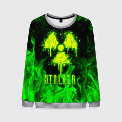 Свитшот мужской STALKER 2, цвет: 3D-меланж