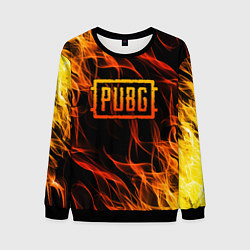 Свитшот мужской PUBG, цвет: 3D-черный