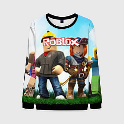 Свитшот мужской ROBLOX, цвет: 3D-черный