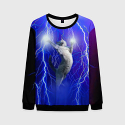 Свитшот мужской Грозовой кошак, цвет: 3D-черный