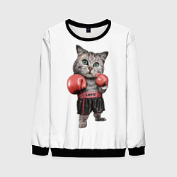 Свитшот мужской Кот боксёр, цвет: 3D-черный