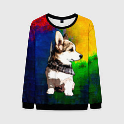 Свитшот мужской Корги, цвет: 3D-черный