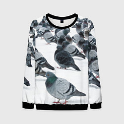 Свитшот мужской Голуби, цвет: 3D-черный