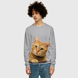 Свитшот мужской Рыжий котик, цвет: 3D-меланж — фото 2