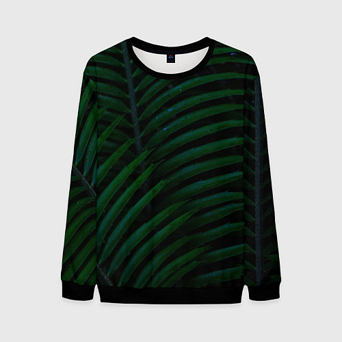 Мужской свитшот Пальмовые листья / 3D-Черный – фото 1