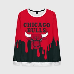 Свитшот мужской Chicago Bulls, цвет: 3D-белый