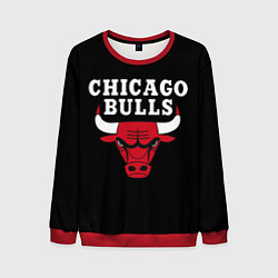 Мужской свитшот CHICAGO BULLS