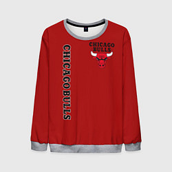 Мужской свитшот CHICAGO BULLS