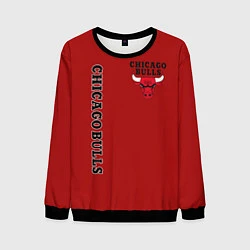 Свитшот мужской CHICAGO BULLS, цвет: 3D-черный