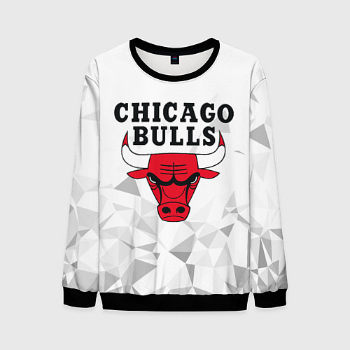 Мужской свитшот CHICAGO BULLS / 3D-Черный – фото 1