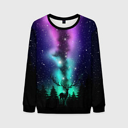 Свитшот мужской Силуэт оленя северное сияние, цвет: 3D-черный