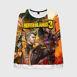 Мужской свитшот Borderlands 3
