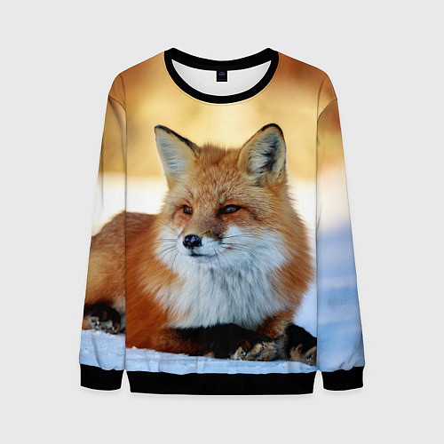 Мужской свитшот Лиса / 3D-Черный – фото 1