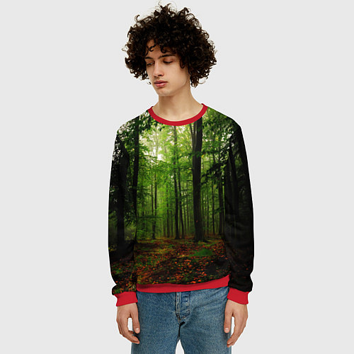 Мужской свитшот Лес / 3D-Красный – фото 3