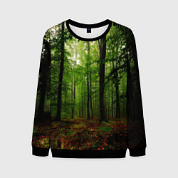 Мужской свитшот Лес