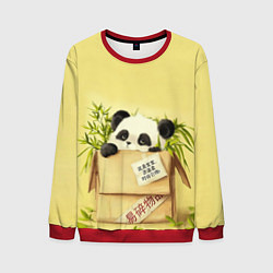 Свитшот мужской Заказывали Панду? ?, цвет: 3D-красный