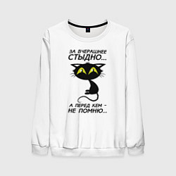 Свитшот мужской За вчерашнее стыдно, цвет: 3D-белый