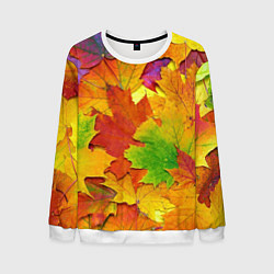 Свитшот мужской Осенние листья, цвет: 3D-белый