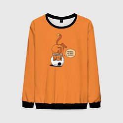 Мужской свитшот Хьюстон, у нас проблемы!