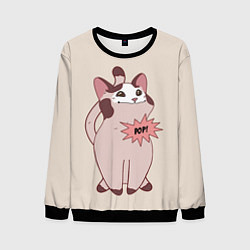 Мужской свитшот Pop Cat