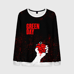 Свитшот мужской Green day, цвет: 3D-белый