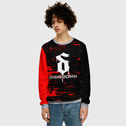 Свитшот мужской Shinedown, цвет: 3D-меланж — фото 2