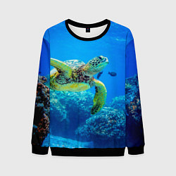 Свитшот мужской Морская черепаха, цвет: 3D-черный