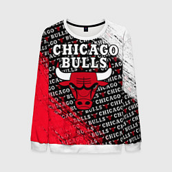 Мужской свитшот CHICAGO BULLS 6