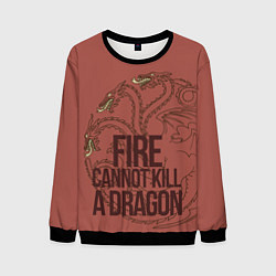 Свитшот мужской Fire Cannot Kill a Dragon, цвет: 3D-черный