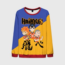 Свитшот мужской Хайку Haikyu Волейбол Z, цвет: 3D-красный