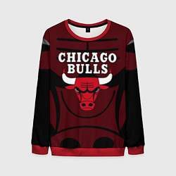 Мужской свитшот CHICAGO BULLS ЧИКАГО БУЛЛС НА ФОНЕ