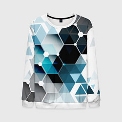 Мужской свитшот Абстракция FLO